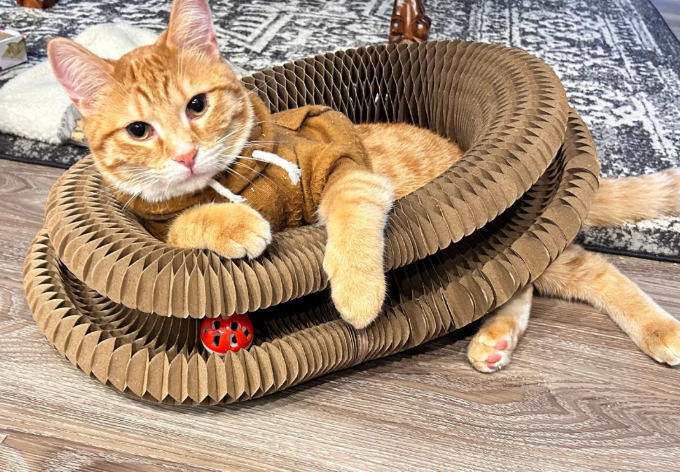 Rascador de Gatos 3 en 1 Kitty Kurls