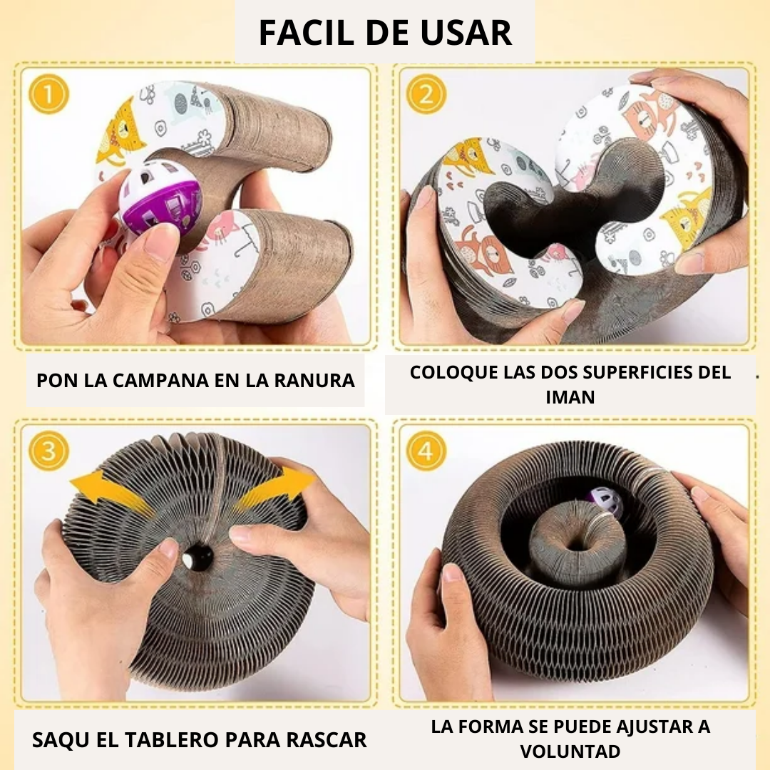 Encabezado